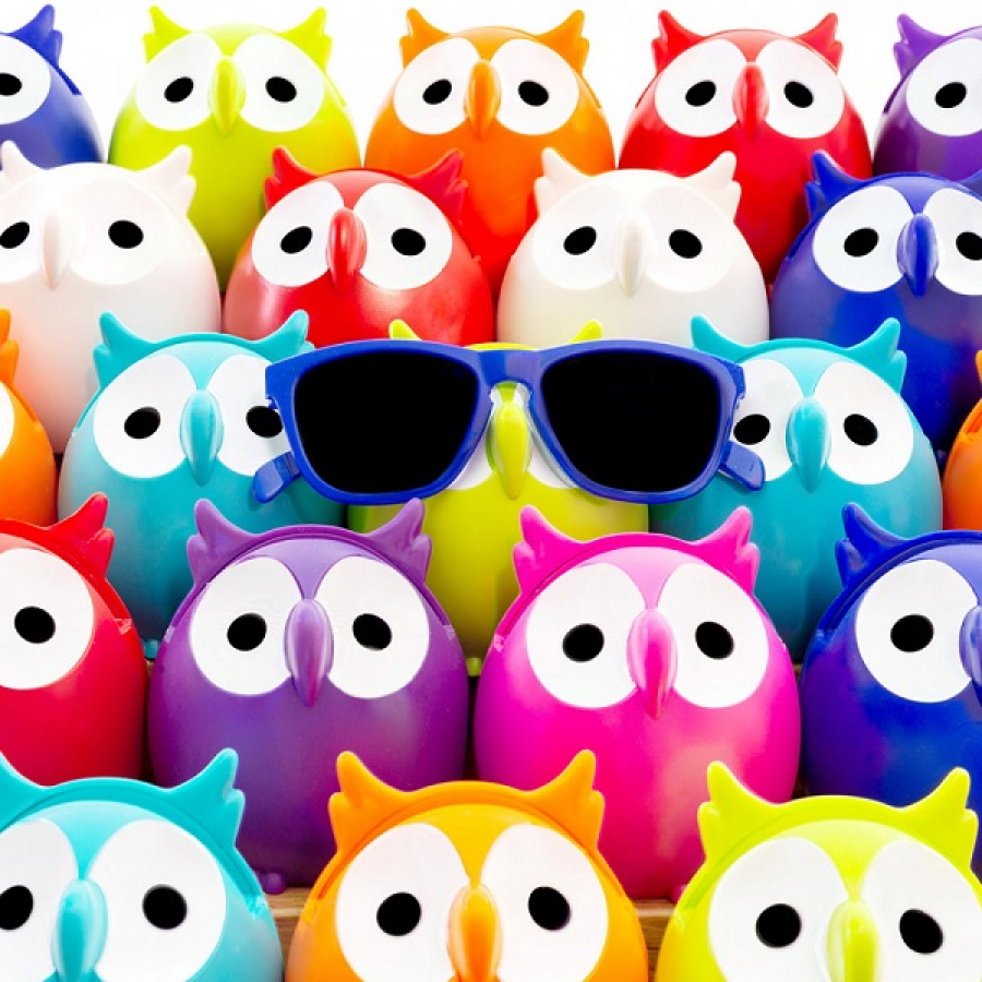 Βάση Γυαλιών Owl Πορτοκαλί Pylones  Δώρα για Άνδρες